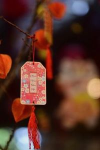 Vn88 của nước nào
